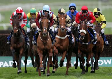 Doncaster Races Minibus 